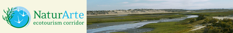 NaturArte