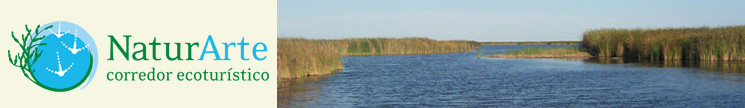 NaturArte