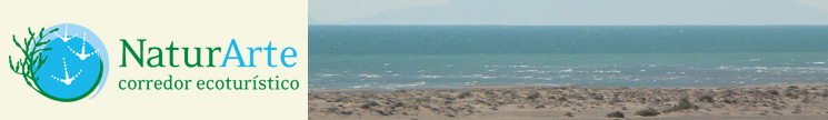 NaturArte
